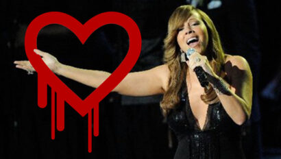 Heartbleed Bug