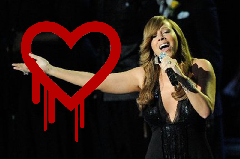 Heartbleed Bug