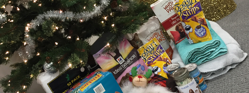 Cuilding Engines Donations for Animal Shelters
