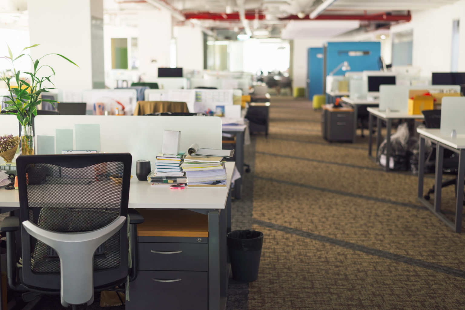 Open office layout