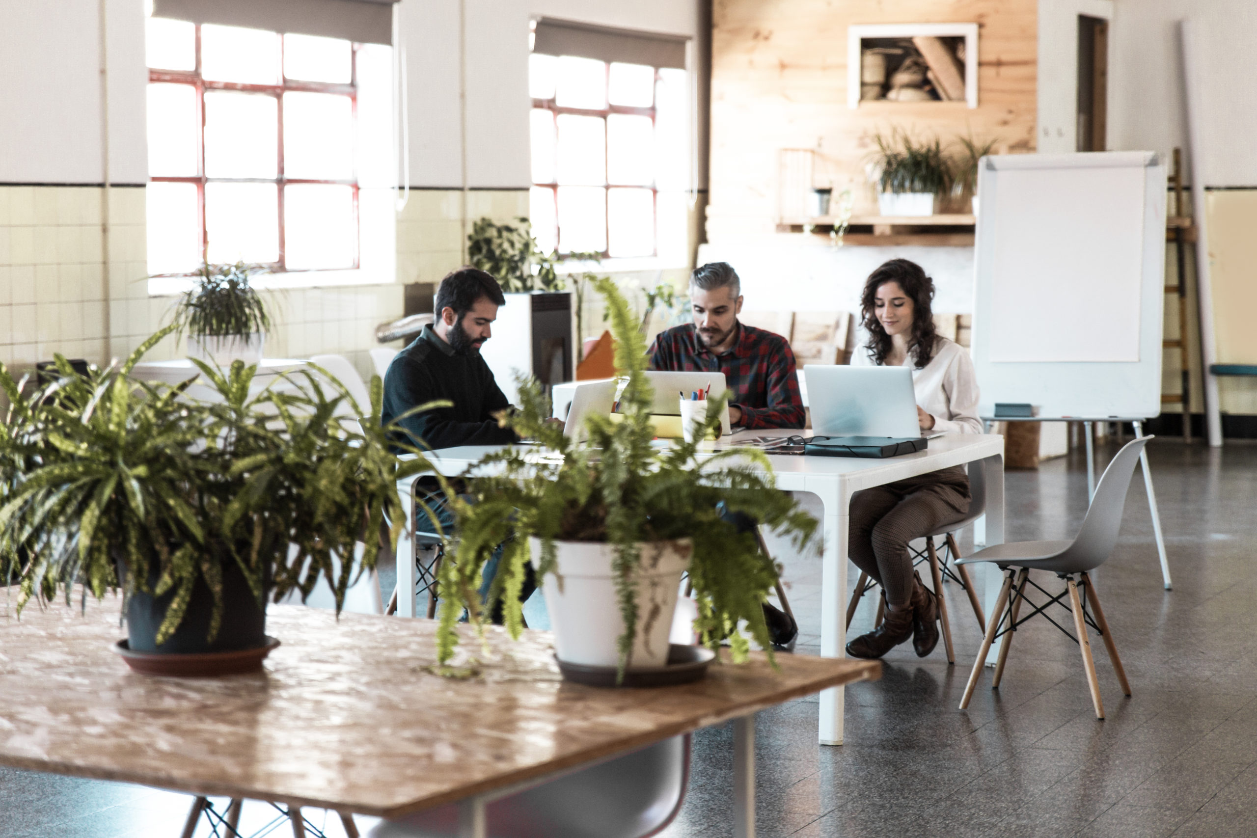 4 CRE Companies Innovating for Sustainable Office Buildings