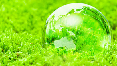 Green globe in grass
