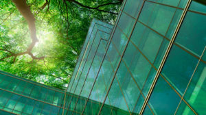 Eco-friendly building in the modern city. Green tree branches with leaves and sustainable glass building for reducing heat and carbon dioxide. Office building with green environment