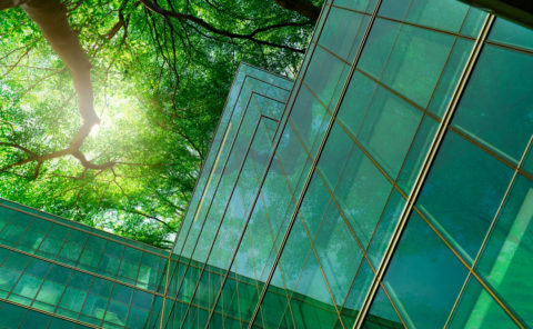 Eco-friendly building in the modern city. Green tree branches with leaves and sustainable glass building for reducing heat and carbon dioxide. Office building with green environment