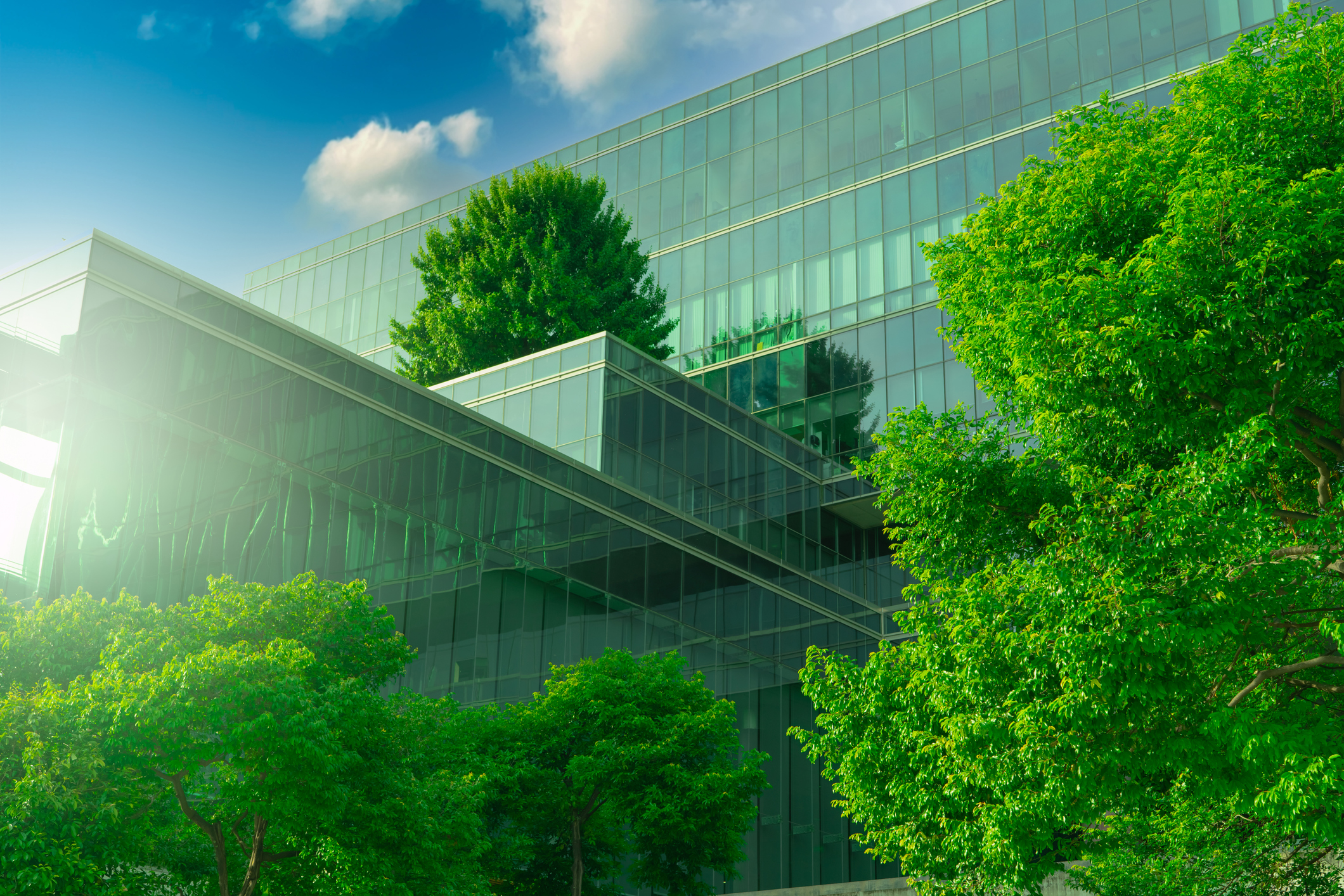 Sustainability in commercial real estate: Top goals for 2023
