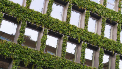 Building covered with creepers and other plants