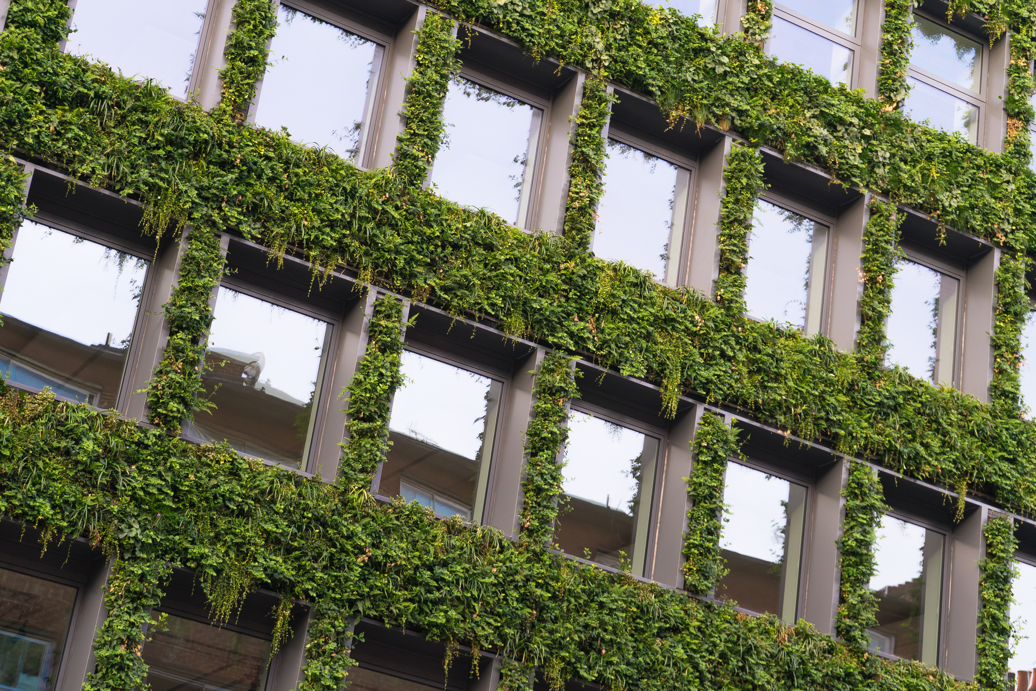 Why all CRE properties should track energy usage