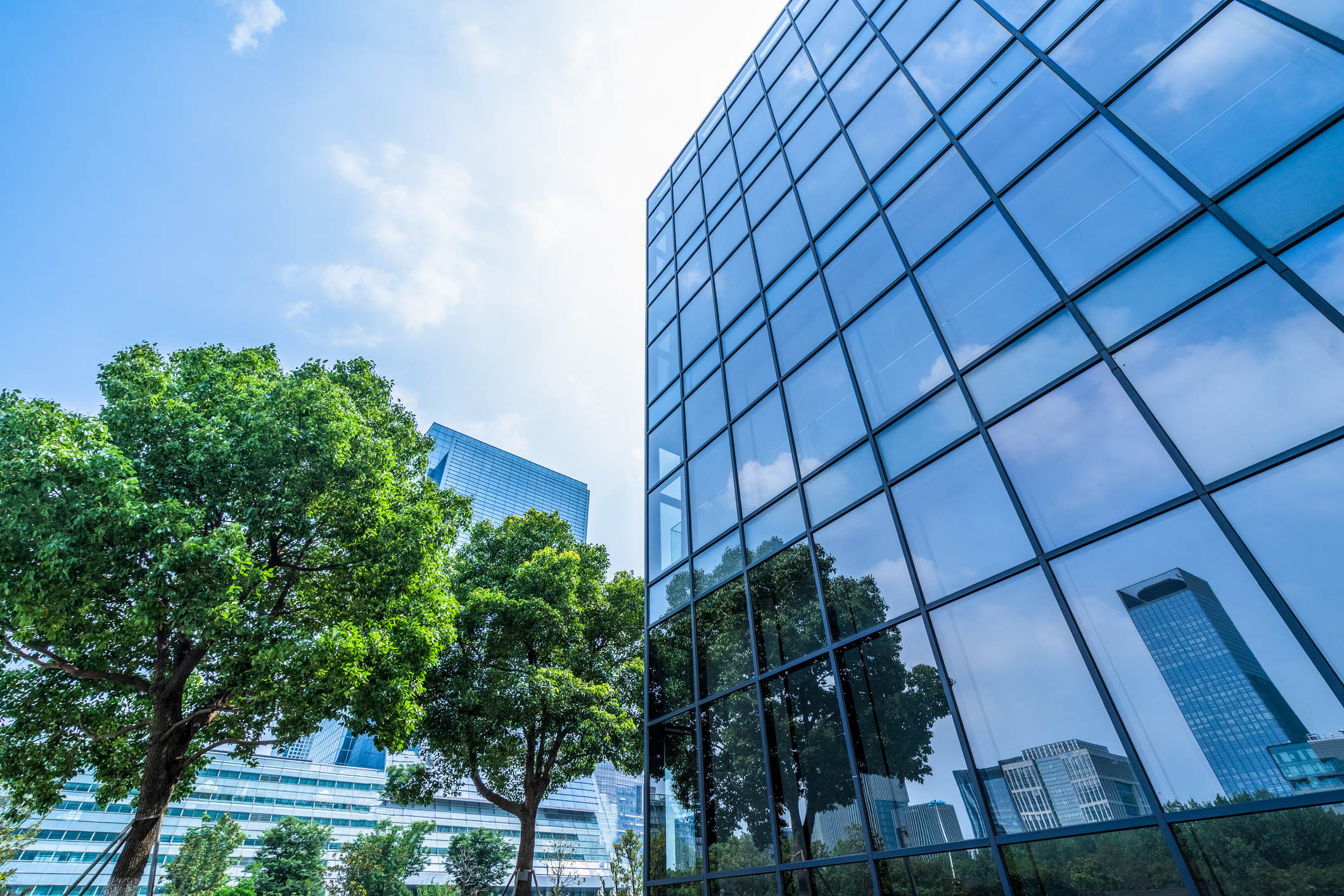 trees and blue sky reflected on the glass wall